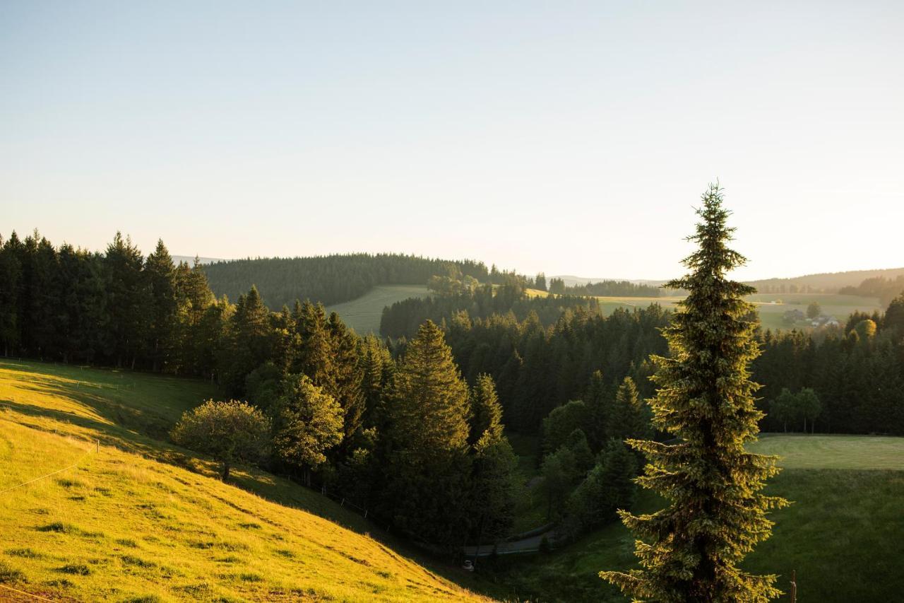 Gasthaus Zum Kreuz Sankt Märgen Eksteriør billede